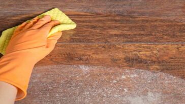 7 Dicas de especialistas de como Evitar poeira em Casa