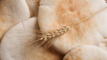 pão sirio delicioso e fácil de fazer