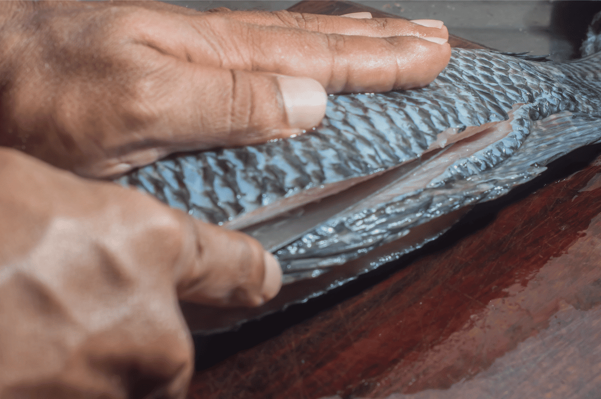 Aprenda como limpar peixe de forma fácil
