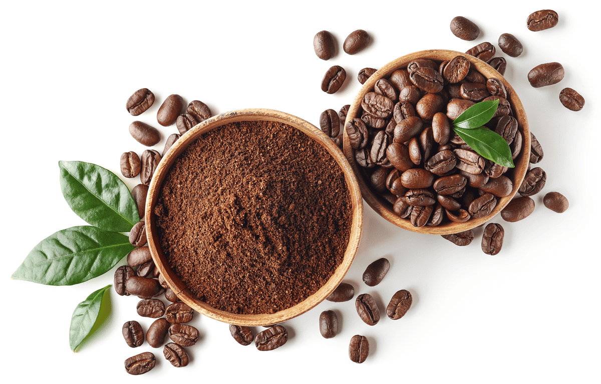 Borra de café: Confira 5 dicas incríveis de reaproveitar!