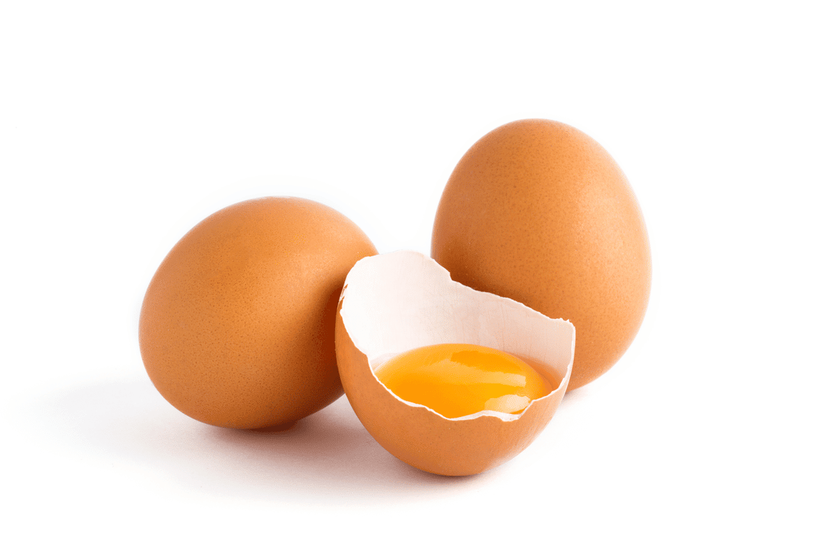 Formas de usar casca de ovo - Conheça as possibilidades