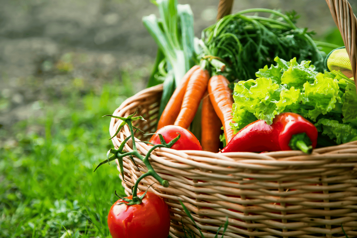 Dicas para a escolha de verduras e legumes