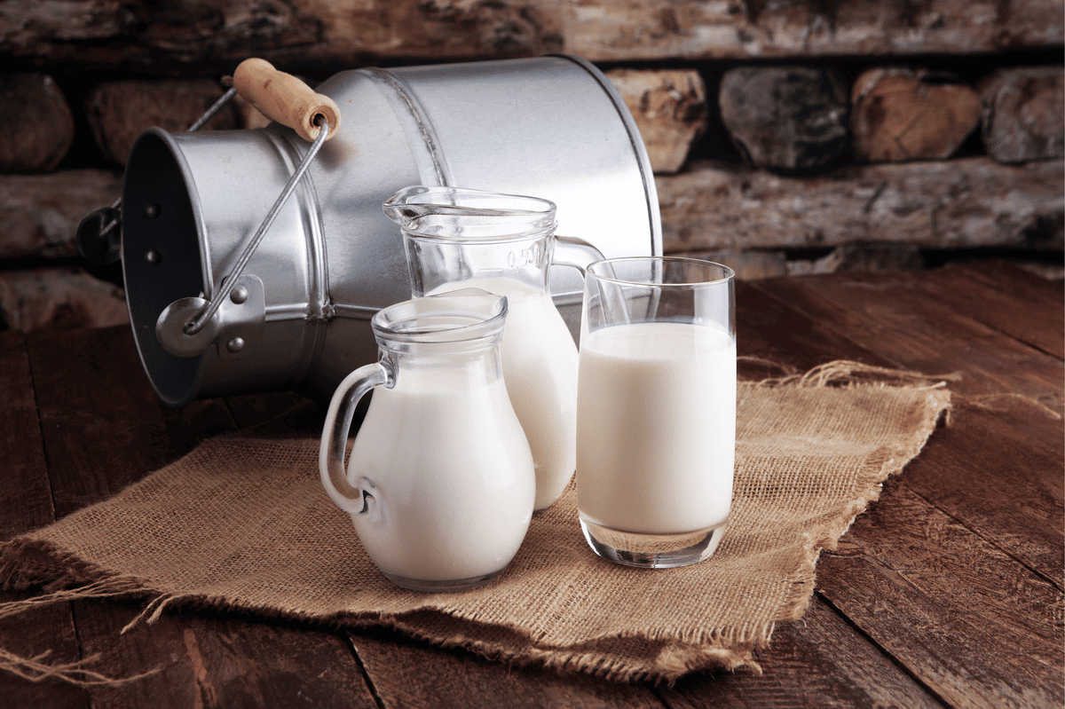 Alternativas ao leite de vaca: Conheça as melhores