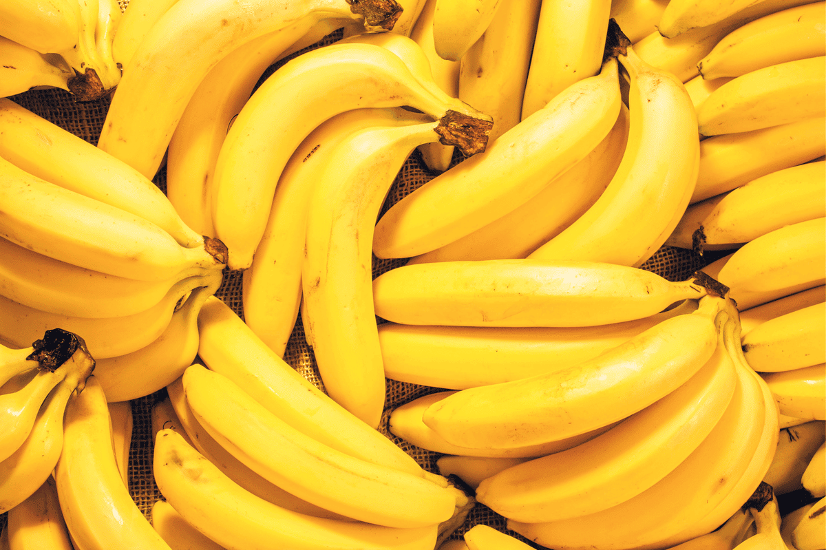 Tipos de Banana: veja os principais