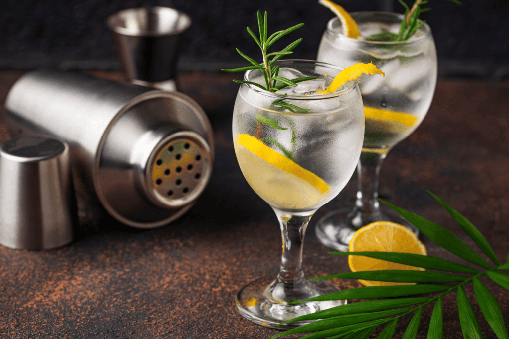 Gin tônica clássico