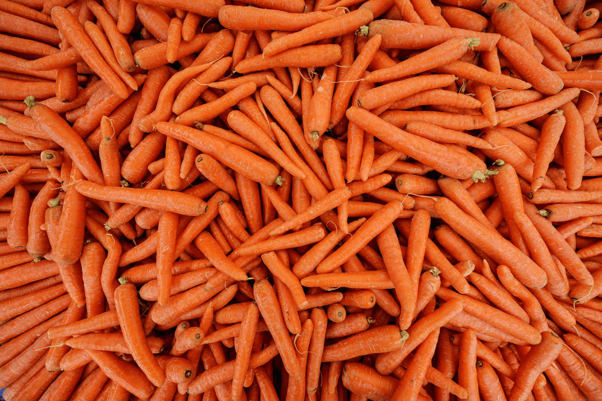 Receita de maionese com cenoura