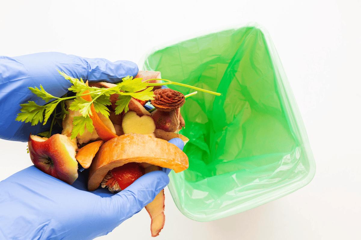 Como evitar o desperdício de alimentos: Dicas infalíveis