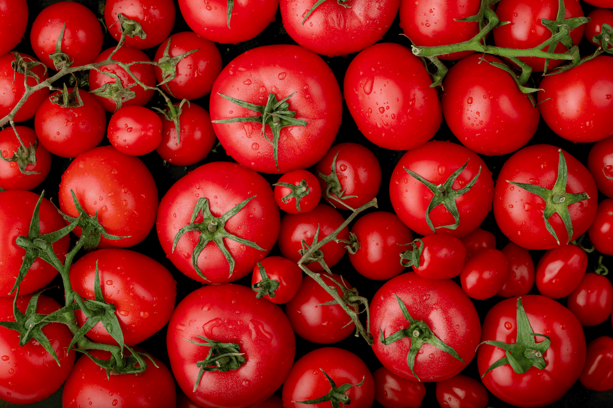 Mitos e verdades sobre o tomate